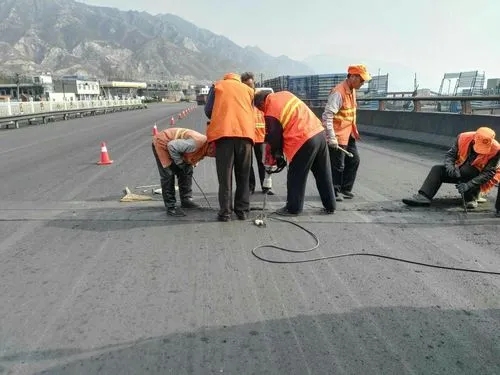 龙湾道路桥梁病害治理